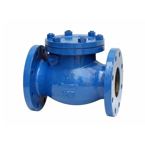 Sandwich Type Cast Iron Check Valve