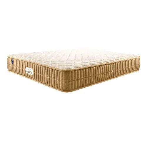 Springfit Proactive Back Mattress