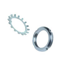 Ss Lock Washer - Application: Automobile Industry
