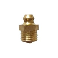 Brass Polished Grease Nipple
