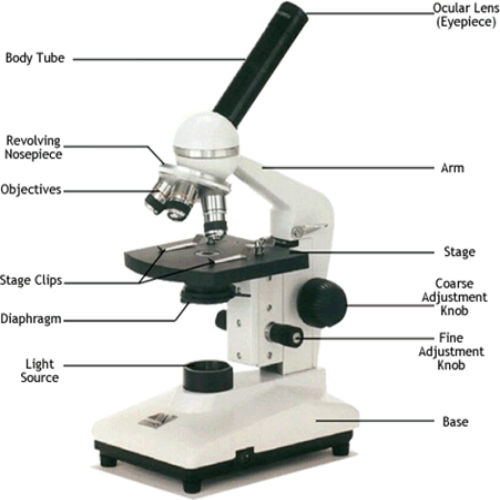 Scientific Microscope