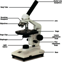 Scientific Microscope