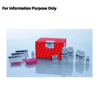 Rneasy 96 Qiacube Ht Kit (5) - Color Code: Variable Depending On Components