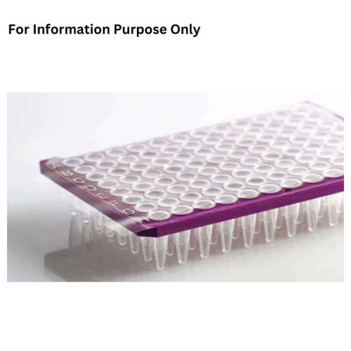 qPCR adhesive plate foil (100)