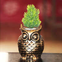 Resin Owl Planter - Polished Multicolor Design | Whimsical Decorative Piece For Indoor And Outdoor Garden Use