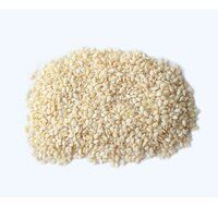 Natural Sesame Extract Sesame Seed With High Purity