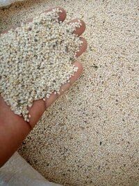 High Quality Raw White Sesame Seeds 99.9 % purity