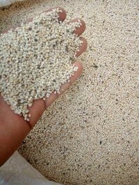 100% pure Sesame White seeds available