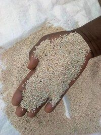 Natural White sesame seed for sale