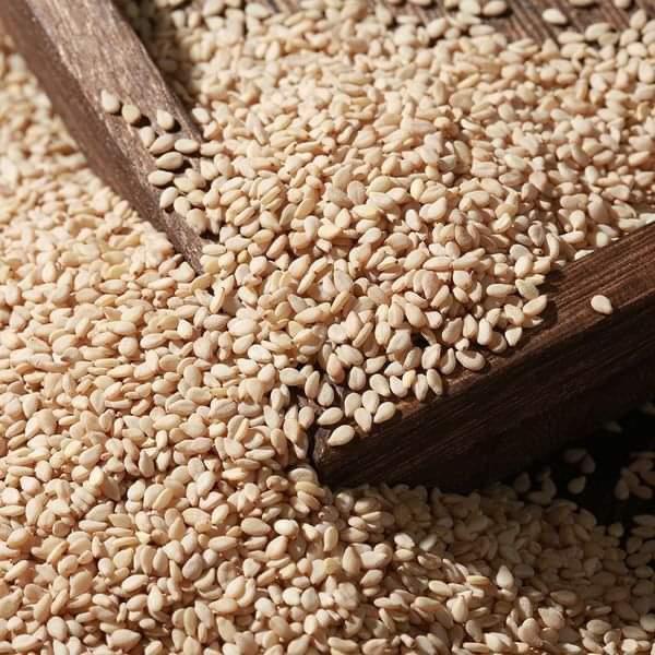 Natural White sesame seed for sale