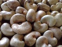 Raw Cashew Nuts inshell