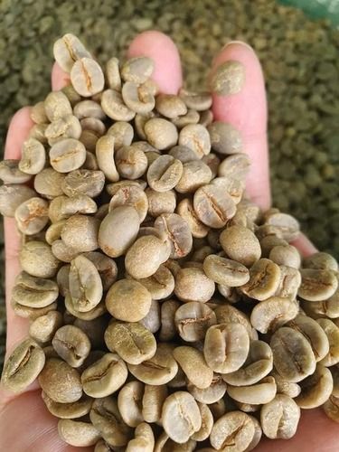 Arabica Coffee Bean - Green Coffee Moisture 12.5% Max, Black Bean 0.1% Impurities 0.1%