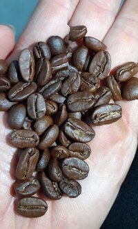 High quality arabica roasted coffee beans