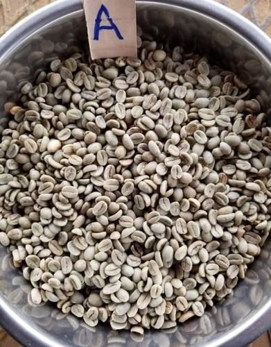 High Quality Robusta / Green / Roasted / Fresh / Arabica