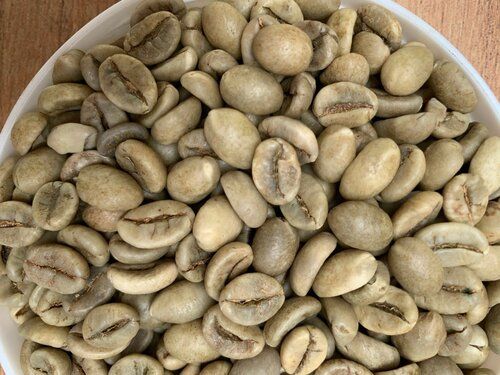 green coffee beans/arabica coffee beans/raw coffee beans for sale cheap price
