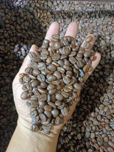 Arabica Roasted Coffee Bean Available