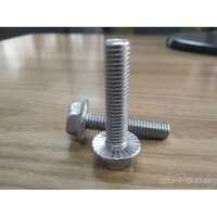 Stainless Steel Hex Flange Bolt