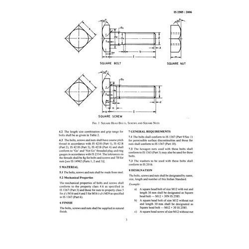 Silver Stainless Steel Sqaure Bolt