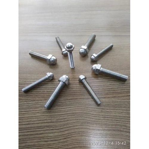 Silver Ss 316 Dome Bolt