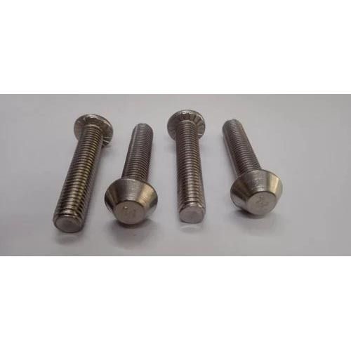 Silver Stainless Steel Anti Theft Bolt