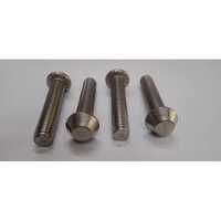 Stainless Steel Anti Theft Bolt