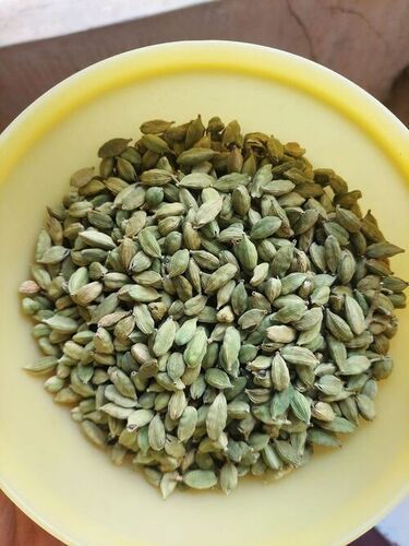 Best Quality Green Cardamom For Sale at Best Prices