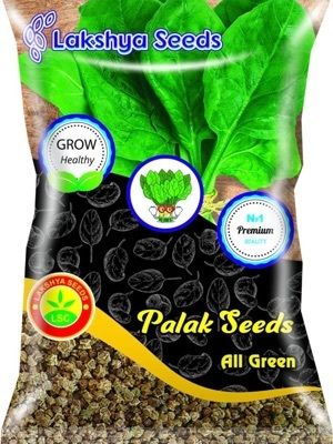 Spinach seed All Green