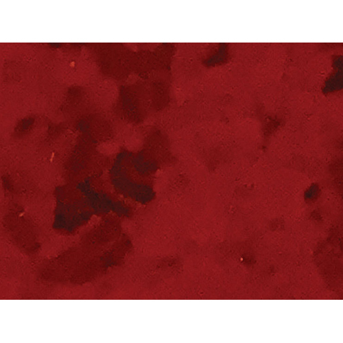 0965 Tomatoe Homogeneous Vinyl Flooring