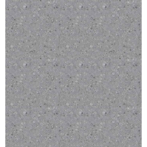 3038 Homogeneous Vinyl Flooring