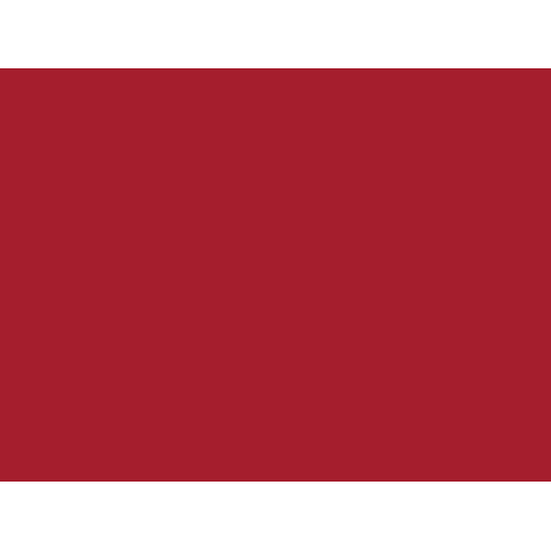1006 Red Heterogeneous Vinyl Flooring