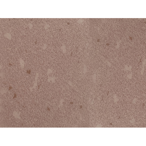 0237 Pink Heterogeneous Vinyl Flooring