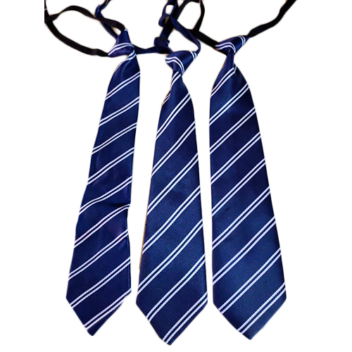 Blue Striped Tie