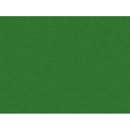 Forest Green Indoor-Outdoor Sports Flooring