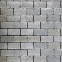 Building Fly Ash Bricks - Color: Gray