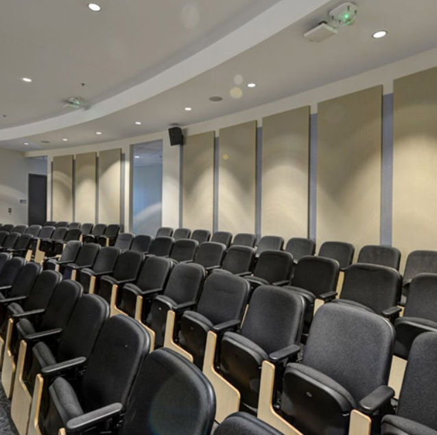 Acoustic Treatment of Auditorium