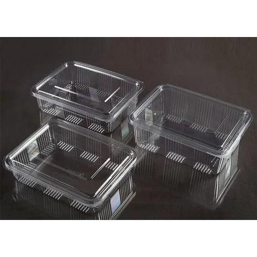 Transparent Pet Hing Container