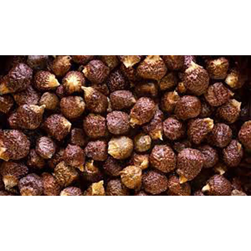 Grains of Paradise