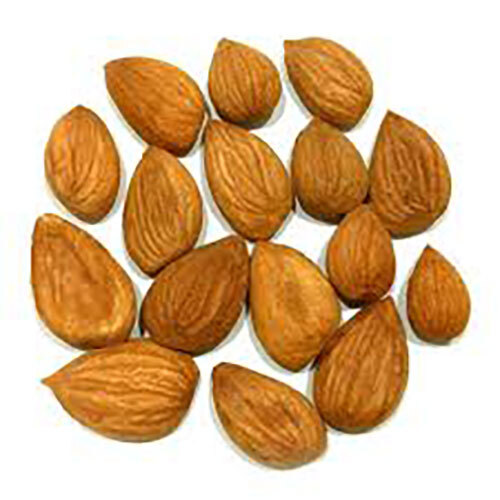 Apricot Kernels