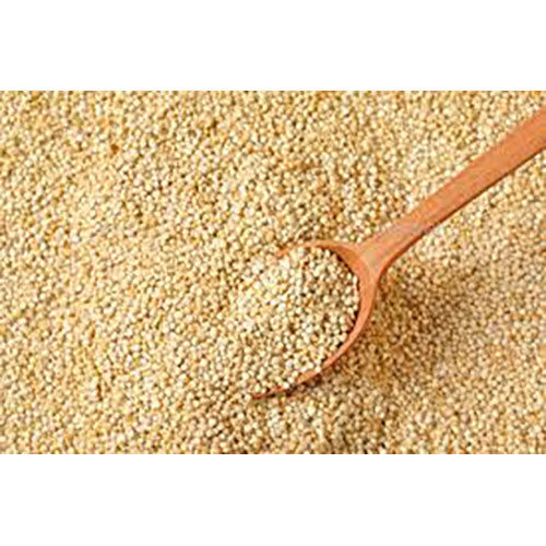 Brown Quinoa Seeds