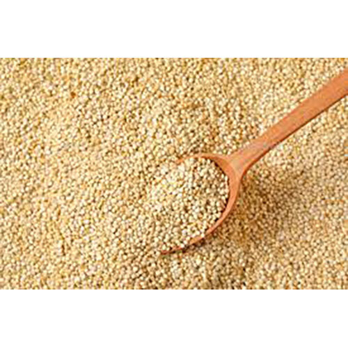 Quinoa Seeds - Color: Brown