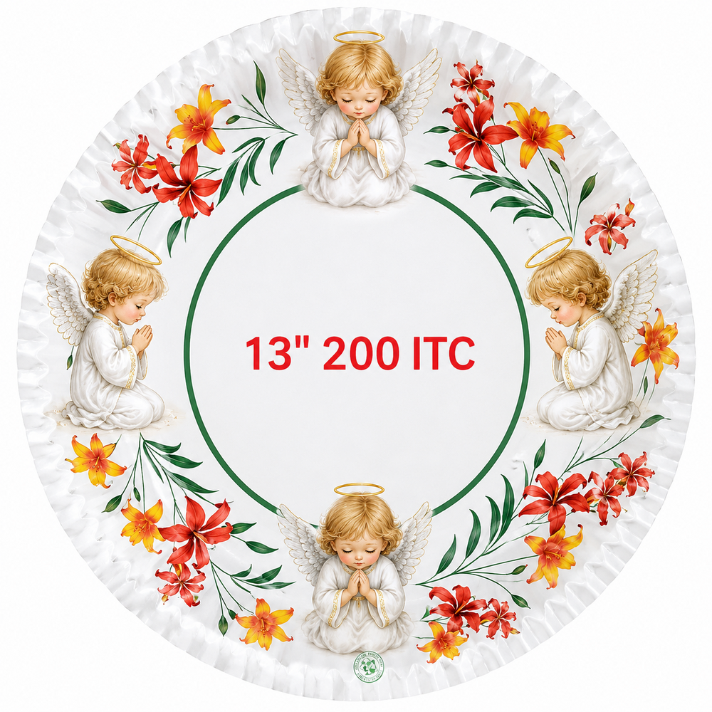 Digital Printed Paper Plate - Application: Commercial