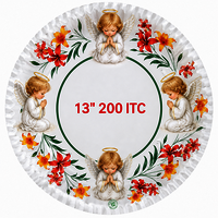 Digital Printed Paper Plate - Application: Commercial