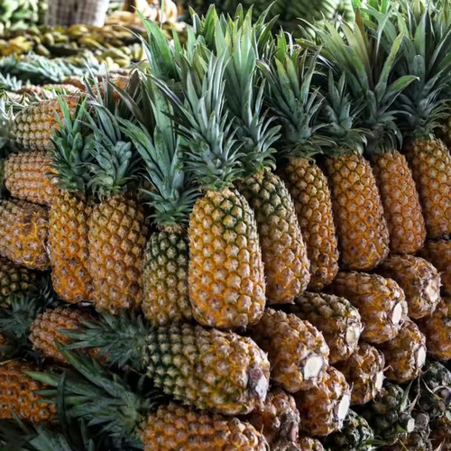 Fresh Sweet Pineapples and Canned Apples