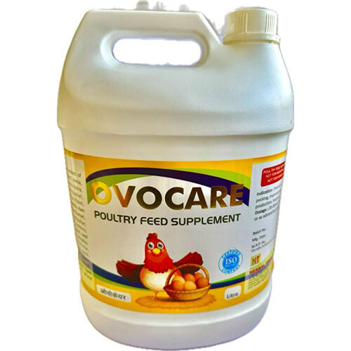 Ovocare Poultry Feed Supplements Efficacy: Promote Healthy