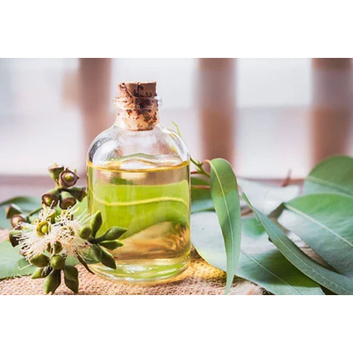 Eucalyptus Oil