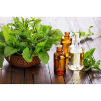 Spearmint Oil