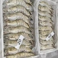 Frozen Fresh Shrimp/seafood/black Tiger Prawn - Size: 25-33 Cm, Weight: 200-320 G , Rich In Protein And Omega 3, Distinctive Red And White Banding