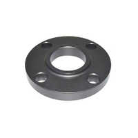 Silver Alloy Steel Slip On Flanges