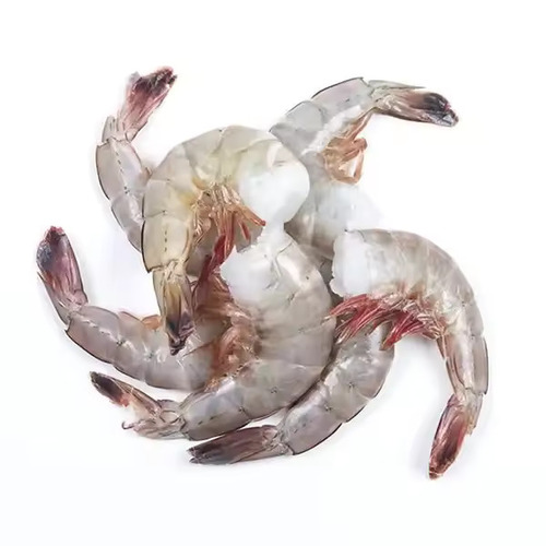 High Quality Frozen Vannamei White Shrimp available