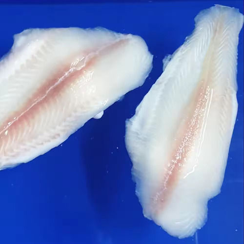 Frozen Pegasus Fillets Available . Pre-order Now